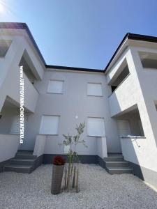OLIVE RESIDENCE фото 4