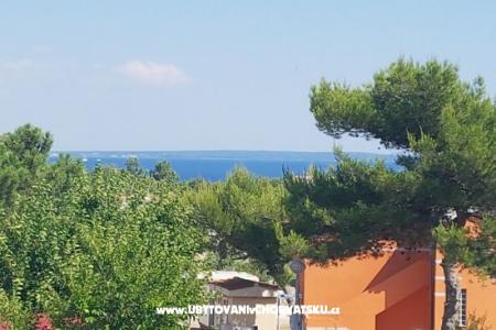 Villa Niva  фото 5