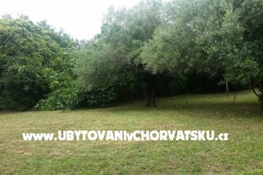 апартаменты Rakovac Vrsar фото 4