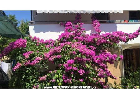 Lucija apartmány фото 2