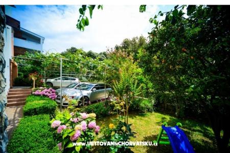 Villa IBIS фото 3