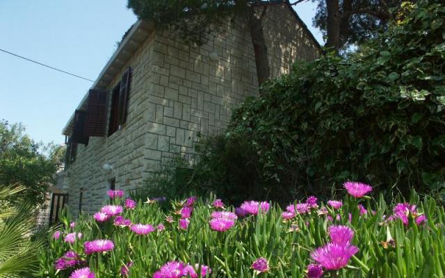Villa Santa Lucia – Проживание остров Брач, Хорватия