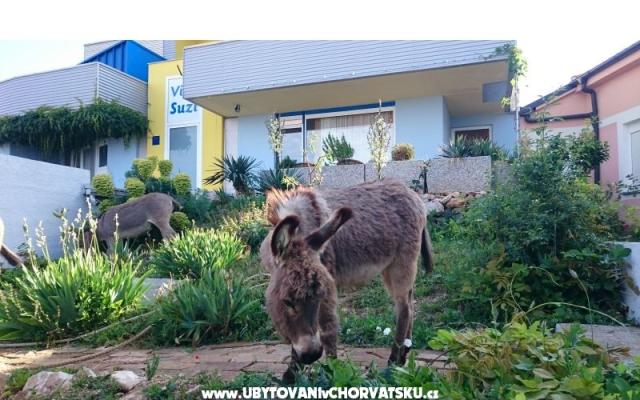 Villa Suzi – Проживание Кралевица, Хорватия