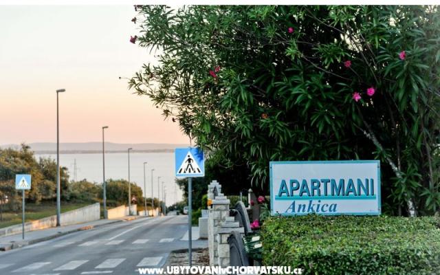 апартаменты Ankica – Проживание Петрчане, Хорватия