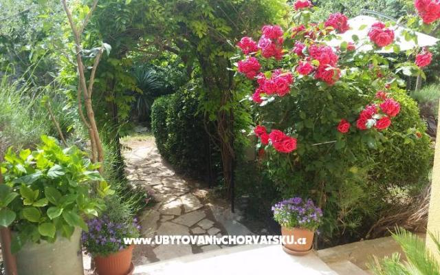 Vila Arboretum Šibenik – Проживание Шибеник, Хорватия