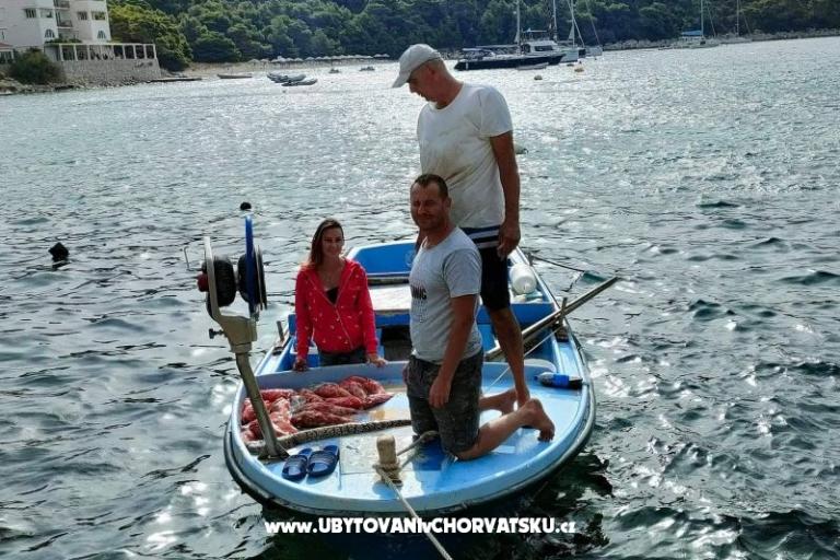 апартаменты Ivo Mljet – фото 5