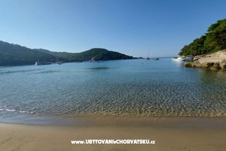 апартаменты Ivo Mljet – фото 9