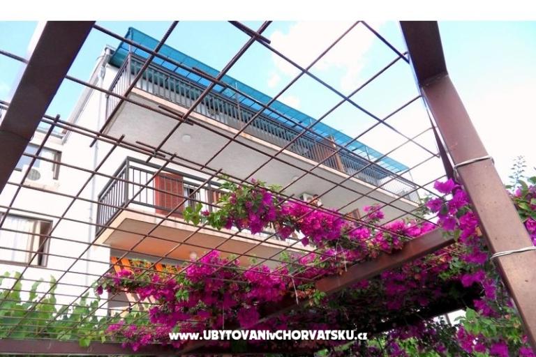 Villa Borovina – фото 4