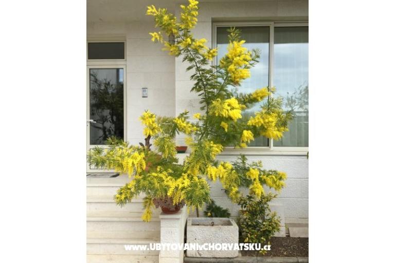 дом Grazia – фото 7