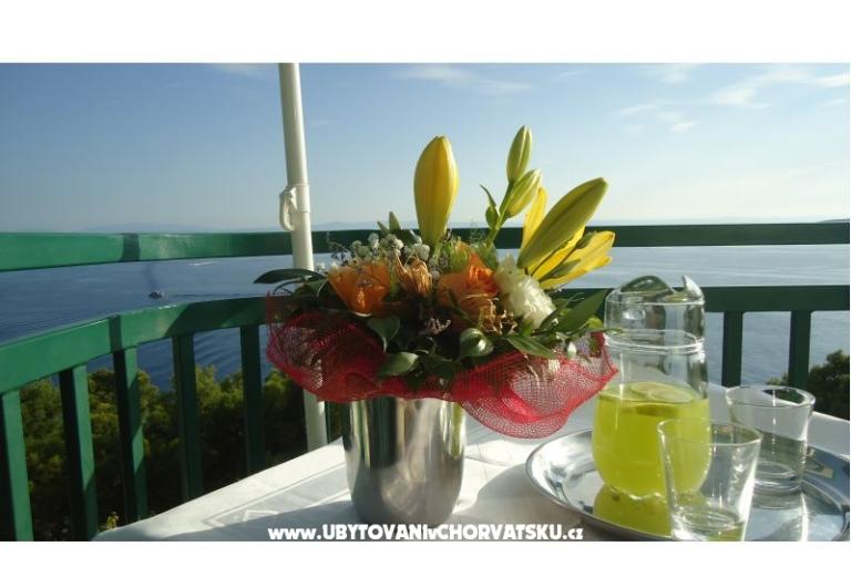 Villa Izabela – фото 6
