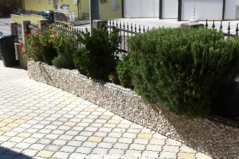 Villa Marija – фото 10