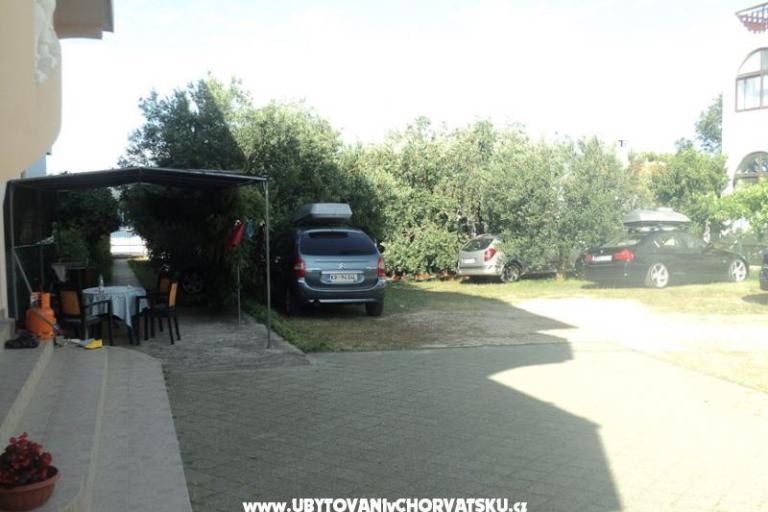 апартаменты  Maslina – фото 6
