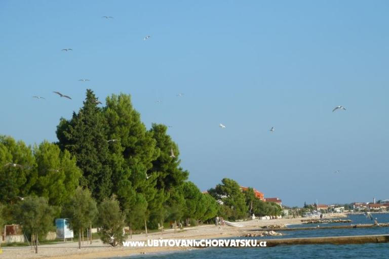 Bibinje апартаменты – фото 11