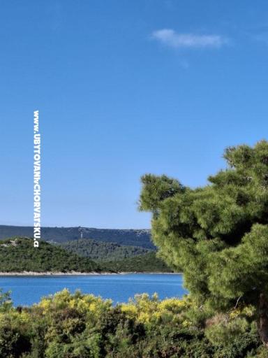 Villa D&J – фото 7