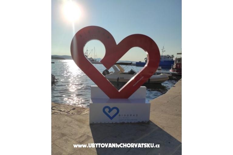 VILLA BERNARD..150 m plaža DRAŽICA – фото 14