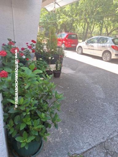 VILLA BERNARD..150 m plaža DRAŽICA – фото 51