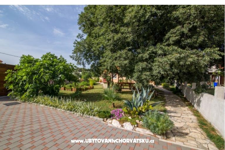 Studio apartmani Petra – фото 4