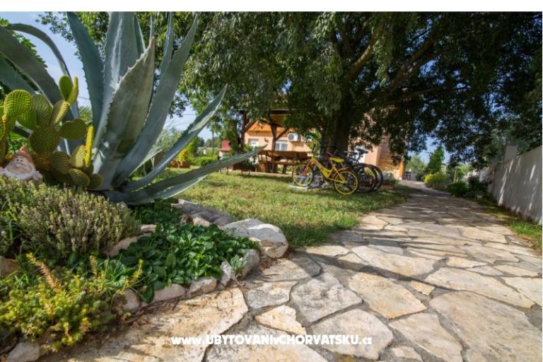 Studio apartmani Petra – фото 6