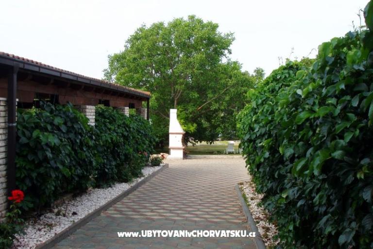 Villa Toni – фото 3