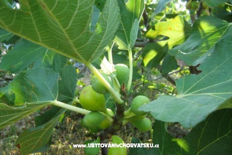 дом Ankica – фото 4