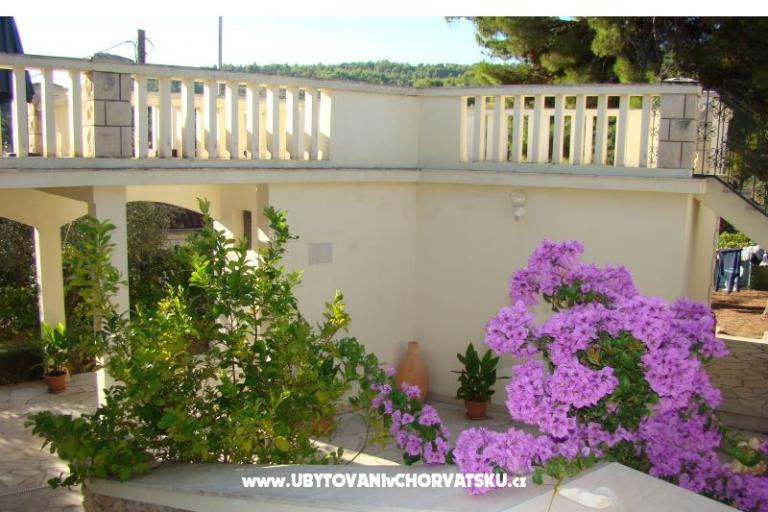Villa Magda – фото 8