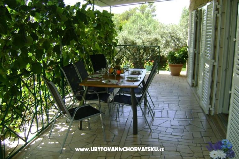 Villa Nikola – фото 5
