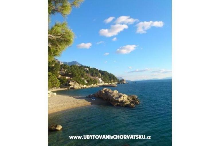 апартаменты Ursić Žarko – фото 3