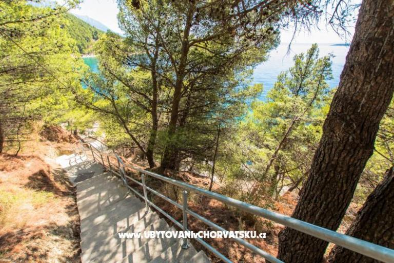 апартаменты near the beach – фото 3