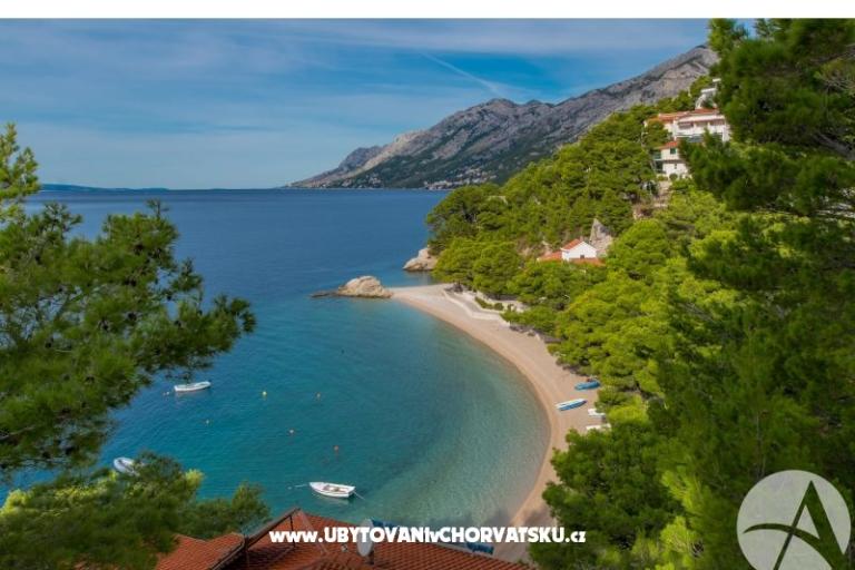 Beachview апартаменты/Free parking – фото 7