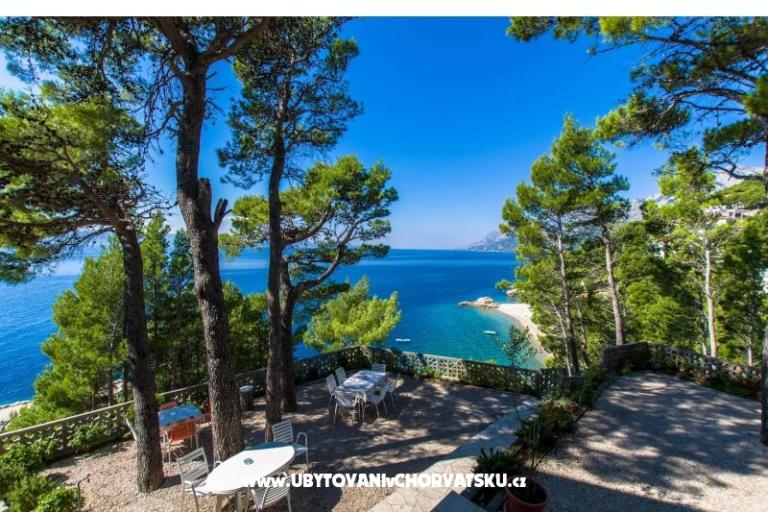 Pine Canopy Studios и апартаменты – фото 15