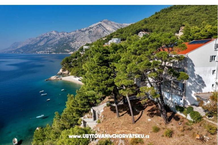 Pine Canopy Studios и апартаменты – фото 2