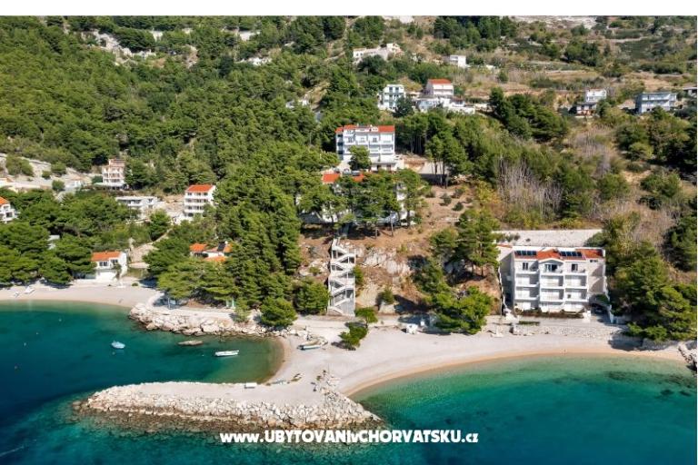 Pine Canopy Studios и апартаменты – фото 5