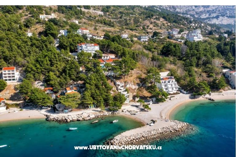 Pine Canopy Studios и апартаменты – фото 6