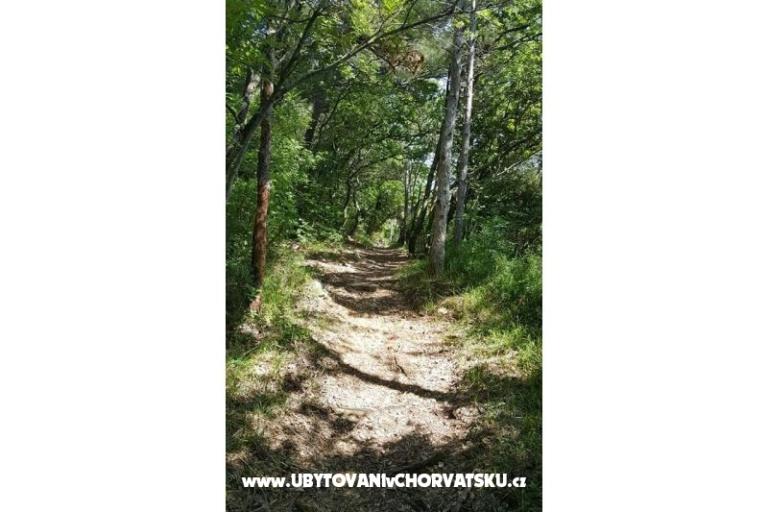 VILLA LYDIA SELCE  – фото 7