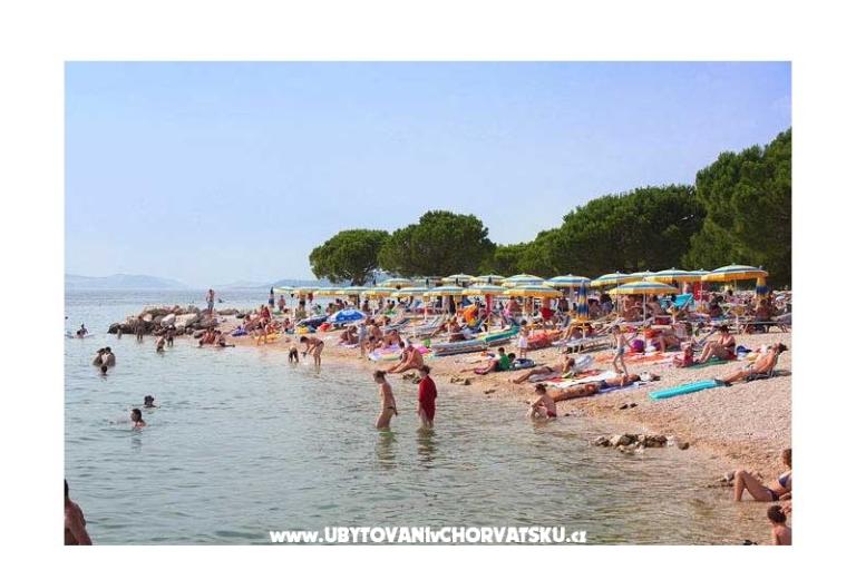 App Butković – фото 4