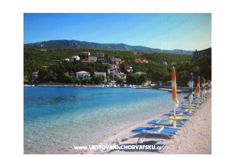 Luka Sočković – фото 10