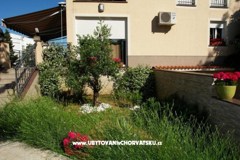 Villa Dolly – фото 2