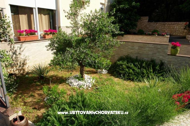 Villa Dolly – фото 7