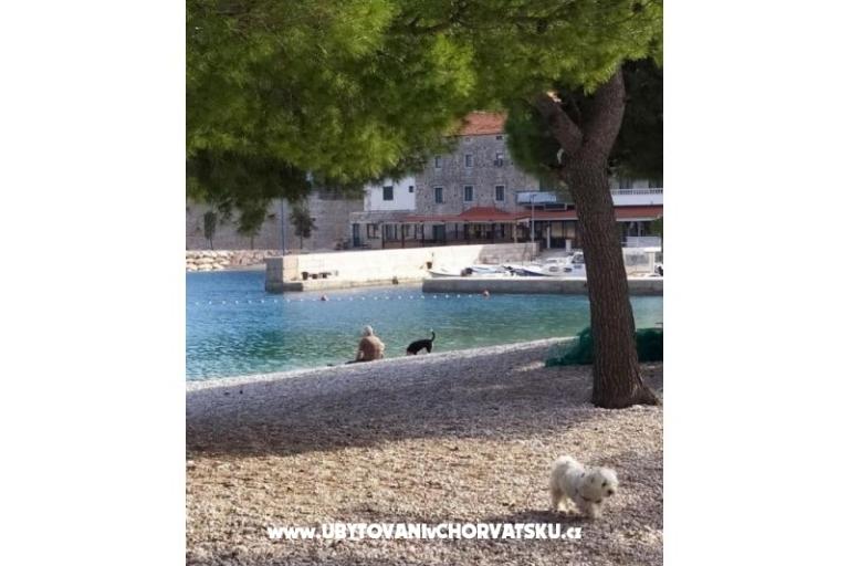 апартаменты Plavi Jadran – фото 7
