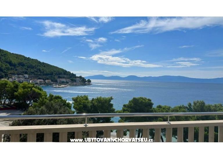 Villa  Delic – фото 3