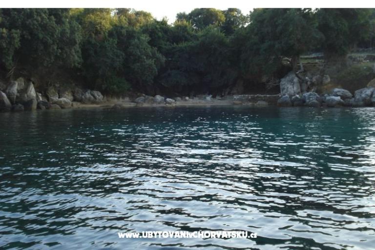 апартаменты Rašica – фото 12