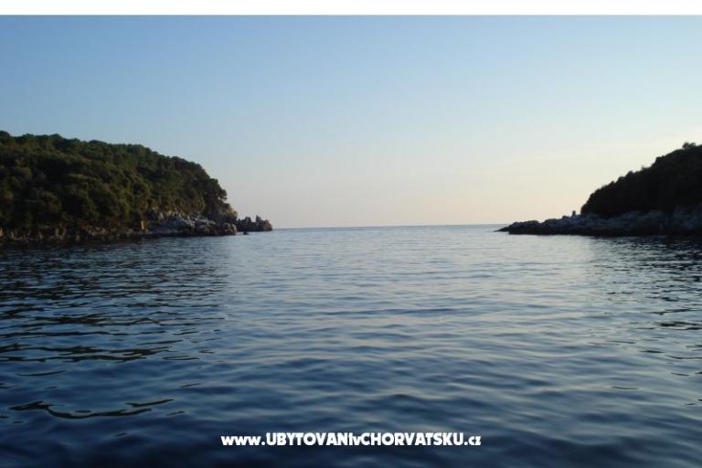 апартаменты Rašica – фото 13