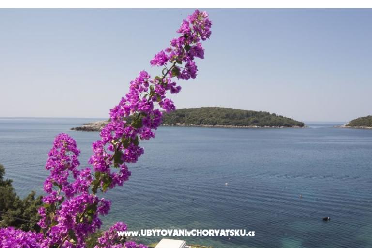 апартаменты Rašica – фото 5