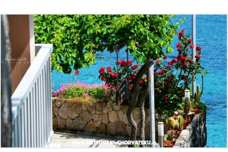 Villa Ana апартаменты – фото 3
