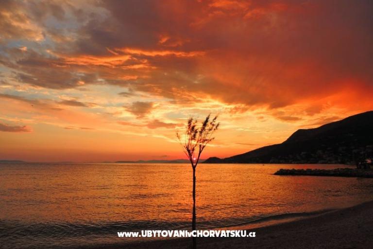 Beach apartments Villa Mirjana – фото 10
