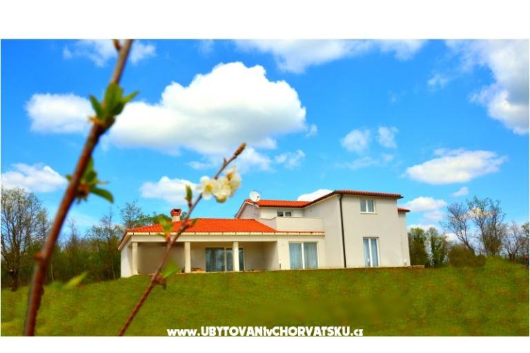 Villa Alison – фото 2