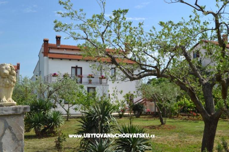 Vila Nona Ivka – фото 2