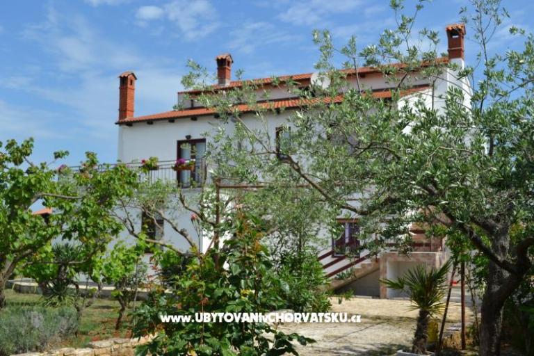Vila Nona Ivka – фото 3