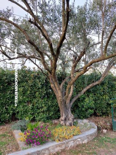 Дом отдыха - апартамент Milka – фото 16