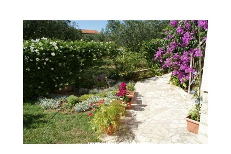 апартаменты Vodopija od 55eur/2 os – фото 6